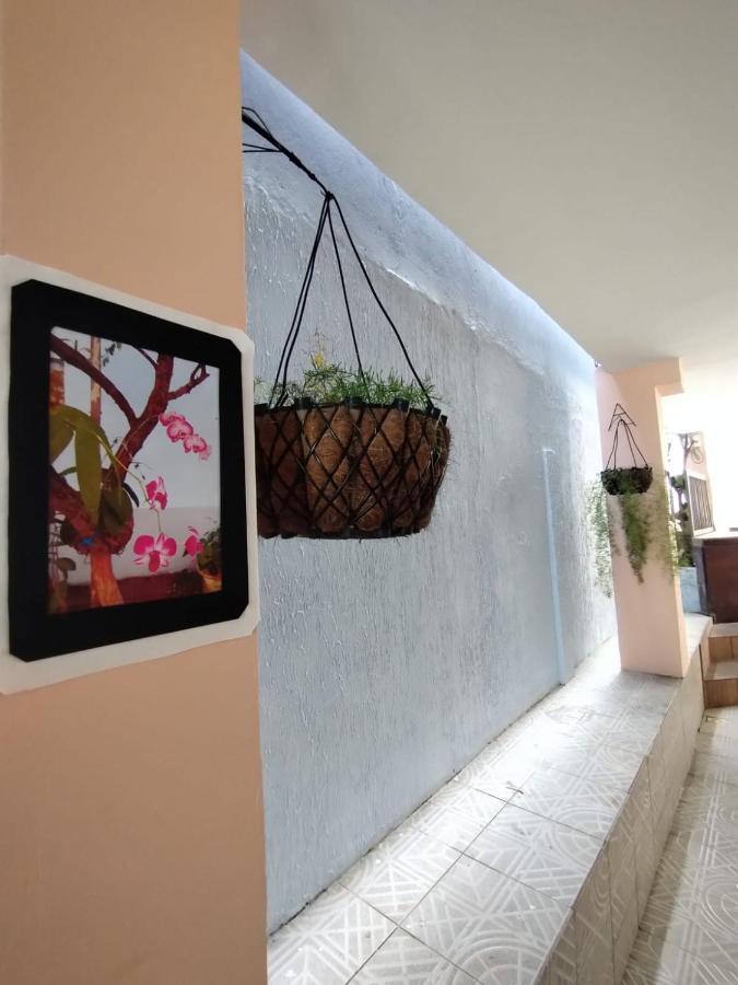 Hostel Salvador Orquideas Zewnętrze zdjęcie